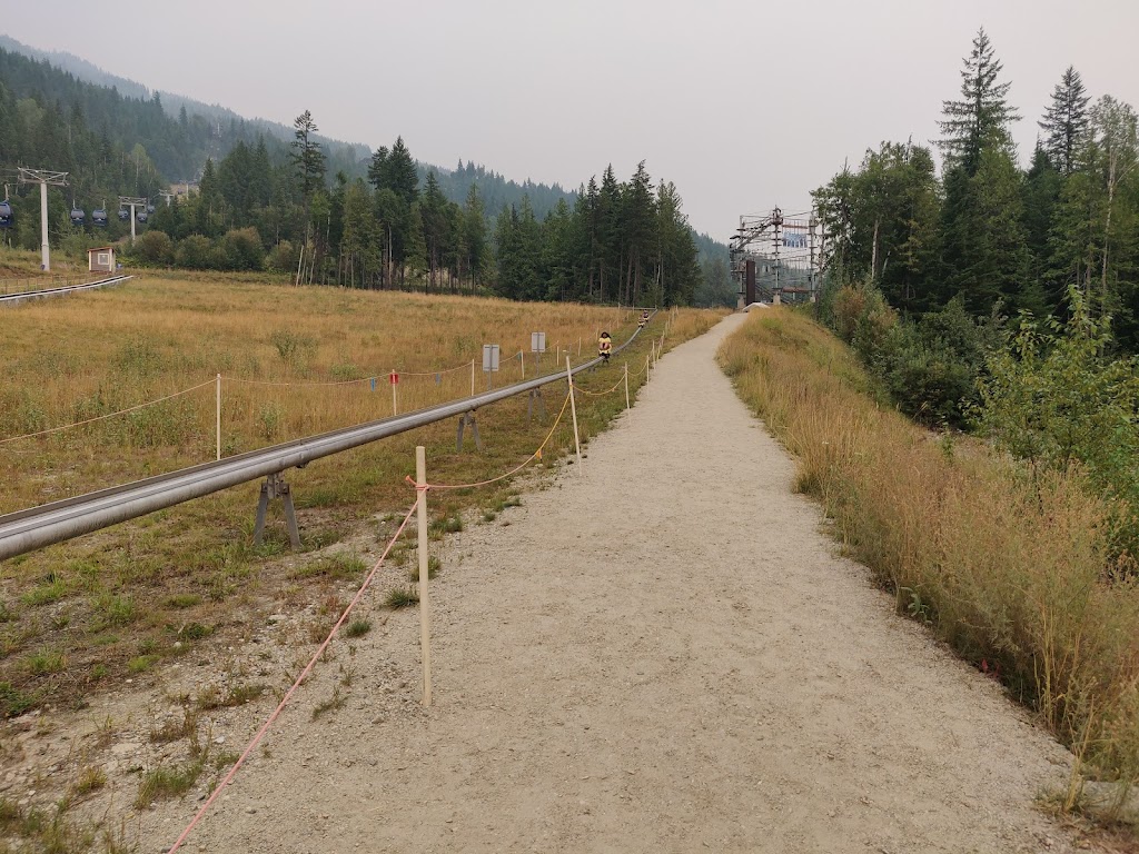 The Pipe Mountain Coaster | 2950 Camozzi Rd, Revelstoke, BC V0E 2S1, Canada | Phone: (866) 373-4754