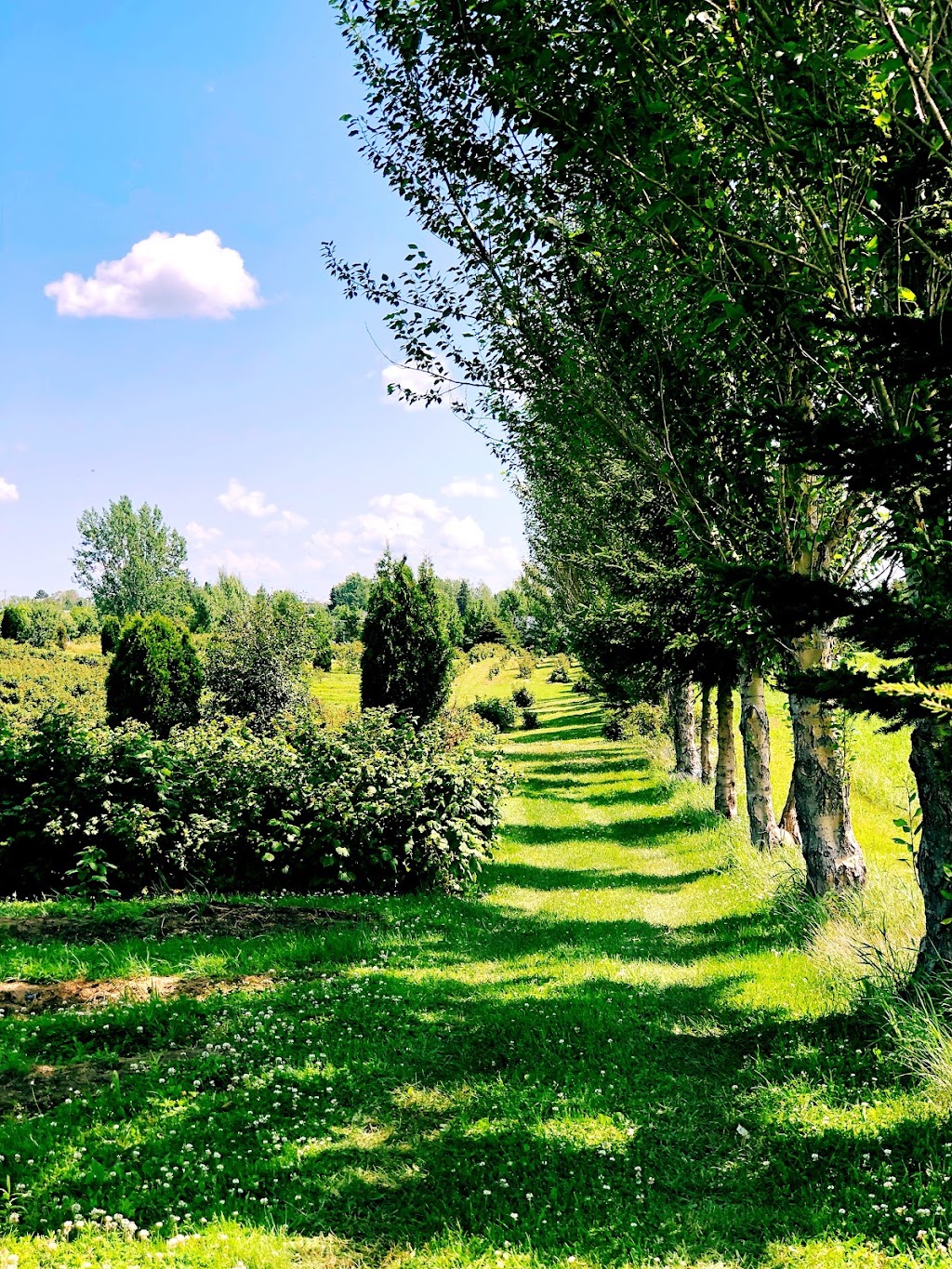 Ferme ruisseau des chasseurs | 2560 Rue Saint-Jean-Baptiste, Jonquière, QC G7X 7V5, Canada | Phone: (418) 591-3711