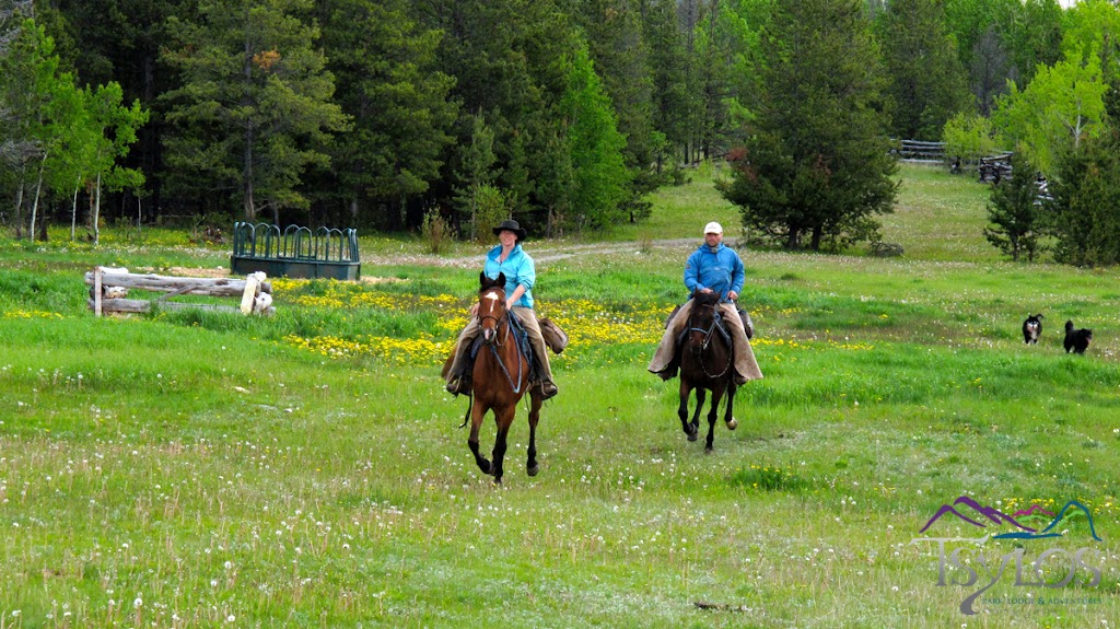 Tsylos Park Lodge & Adventures | Chilko Lake, Cariboo, BC V0L 1W0, Canada | Phone: (250) 483-4368