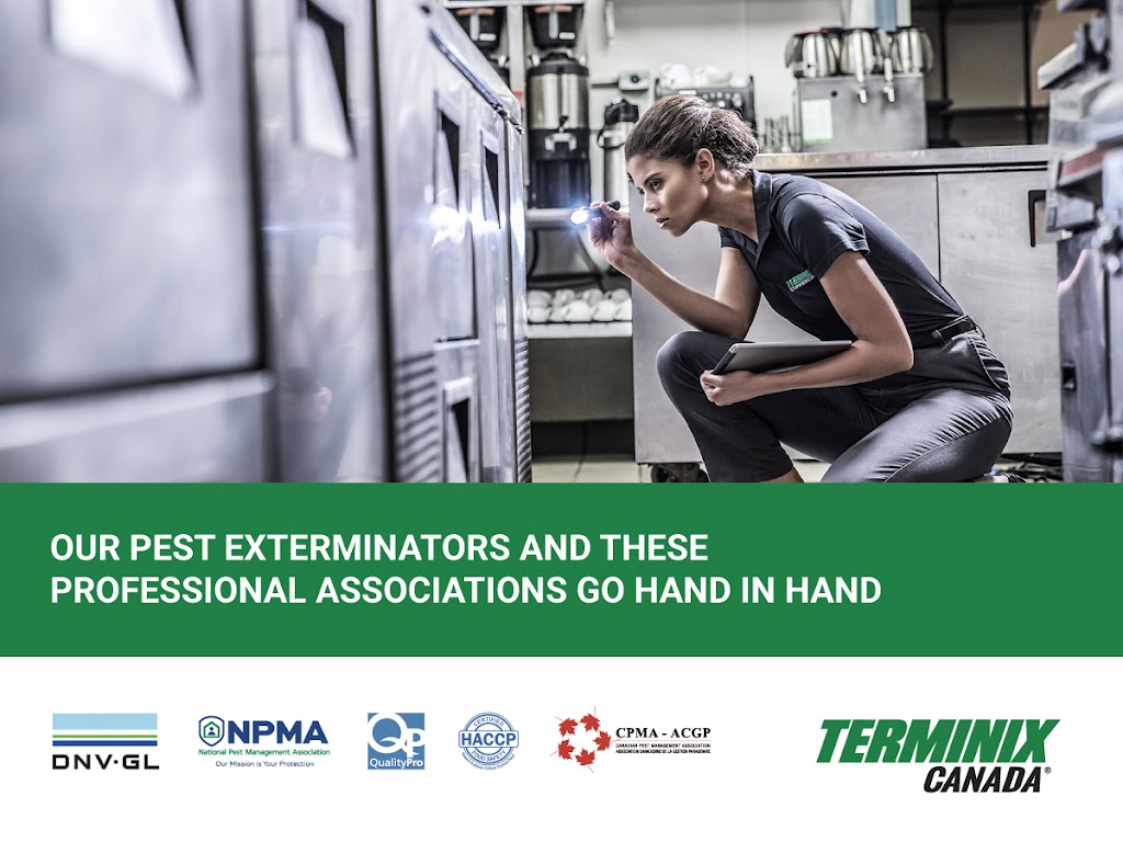 Terminix Canada Pest Control Ottawa | 199 Colonnade Rd, Nepean, ON K2E 7K3, Canada | Phone: (613) 576-4035