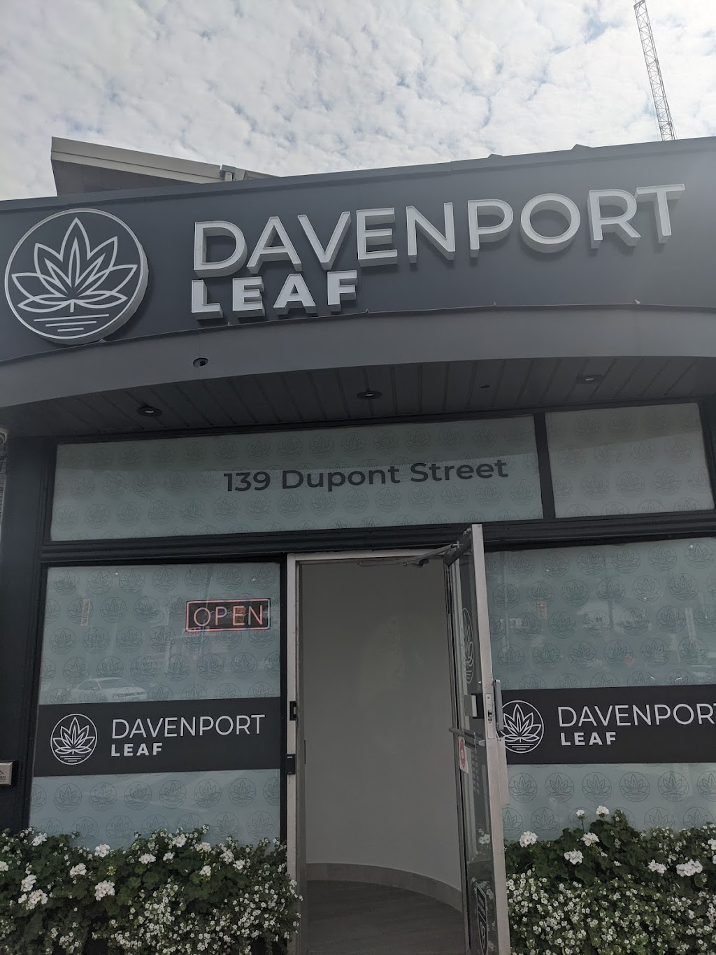 Davenport Leaf | 139 Dupont St, Toronto, ON M5R 1V4, Canada | Phone: (416) 515-9888