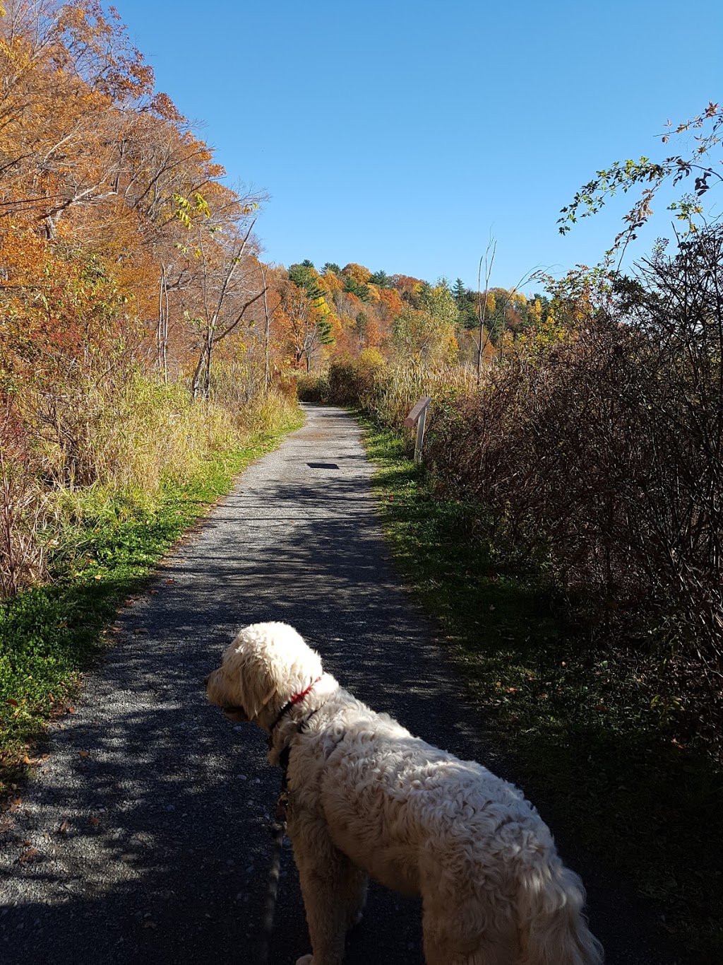 Miners Marsh | Barclay St, Kentville, NS B4N 1H1, Canada | Phone: (902) 679-2500