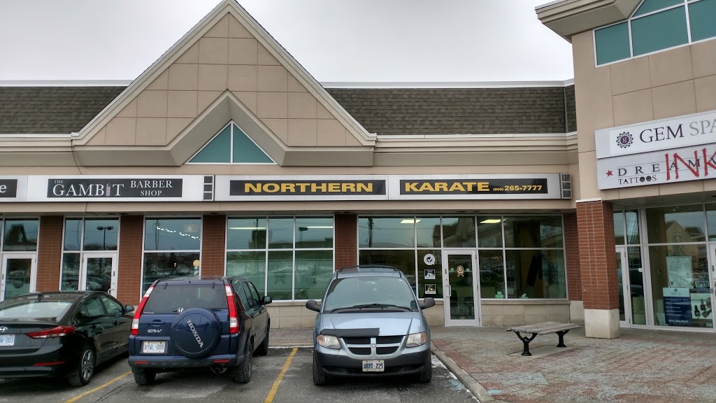 Northern Karate | 3883 Rutherford Rd, Woodbridge, ON L4L 9R8, Canada | Phone: (905) 265-7777