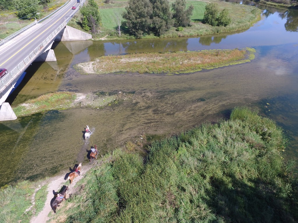 Conestogo River Horseback Adventures | 535 Northfield Dr E, Waterloo, ON N2J 4G8, Canada | Phone: (519) 888-6503