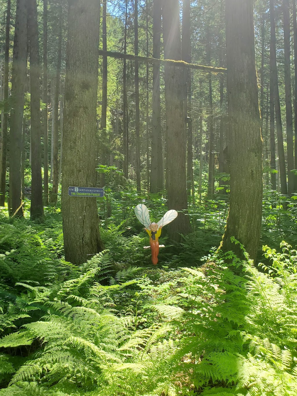 The Enchanted Forest | 7060 Trans-Canada Hwy, Revelstoke, BC V0E 2S0, Canada | Phone: (250) 837-9477