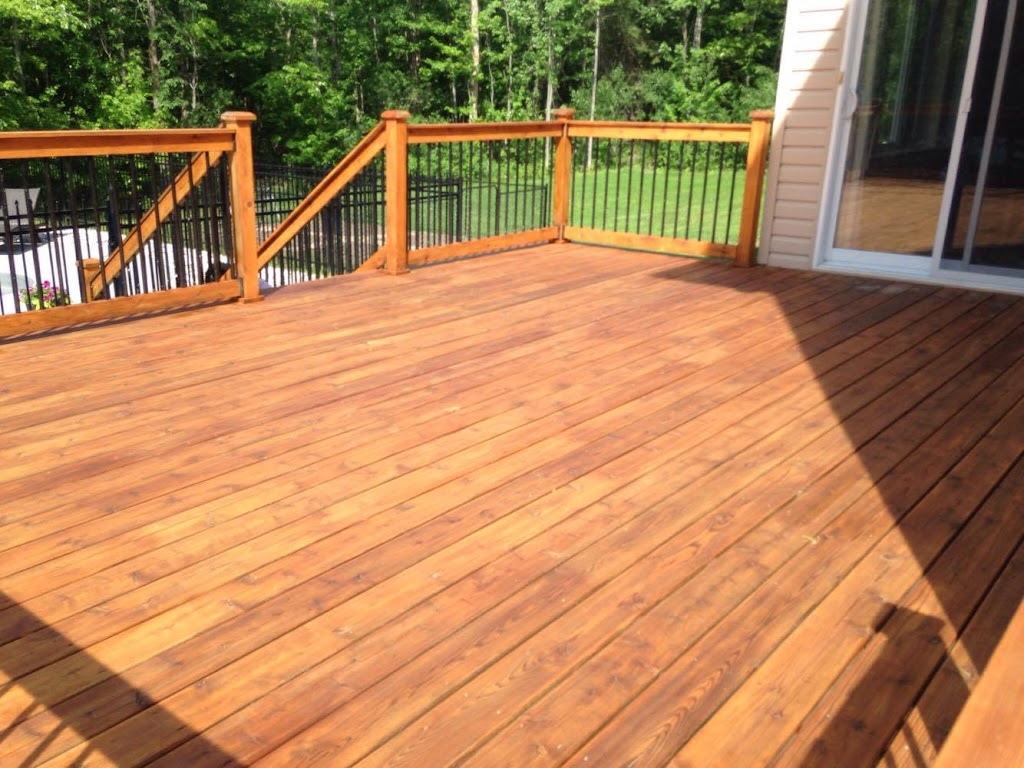 Staining Solution | 1184 Rockingham Ave, Ottawa, ON K1H 8A7, Canada | Phone: (613) 552-1744