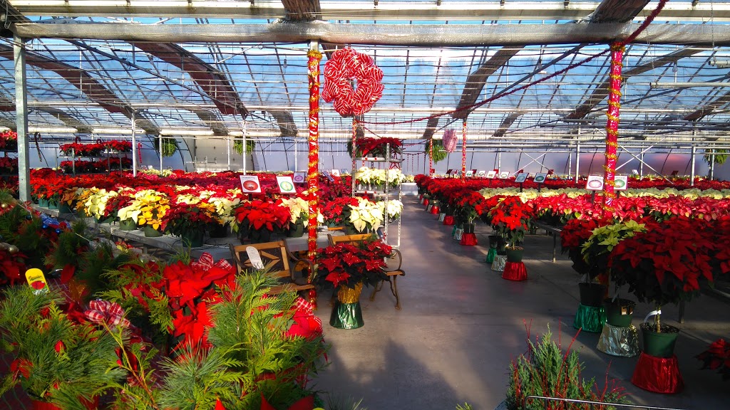 Sunshine Express Garden Centre | 18 Carlton St, Niagara-on-the-Lake, ON L0S 1J0, Canada | Phone: (905) 641-0983