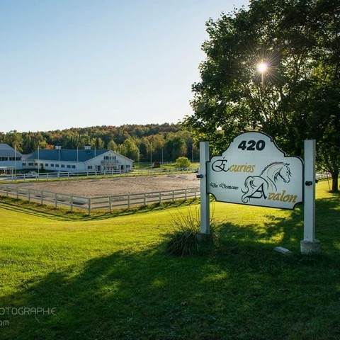 Domaine Avalon | 420 Chemin Dyer, Sutton, QC J0E 2K0, Canada | Phone: (514) 668-5344