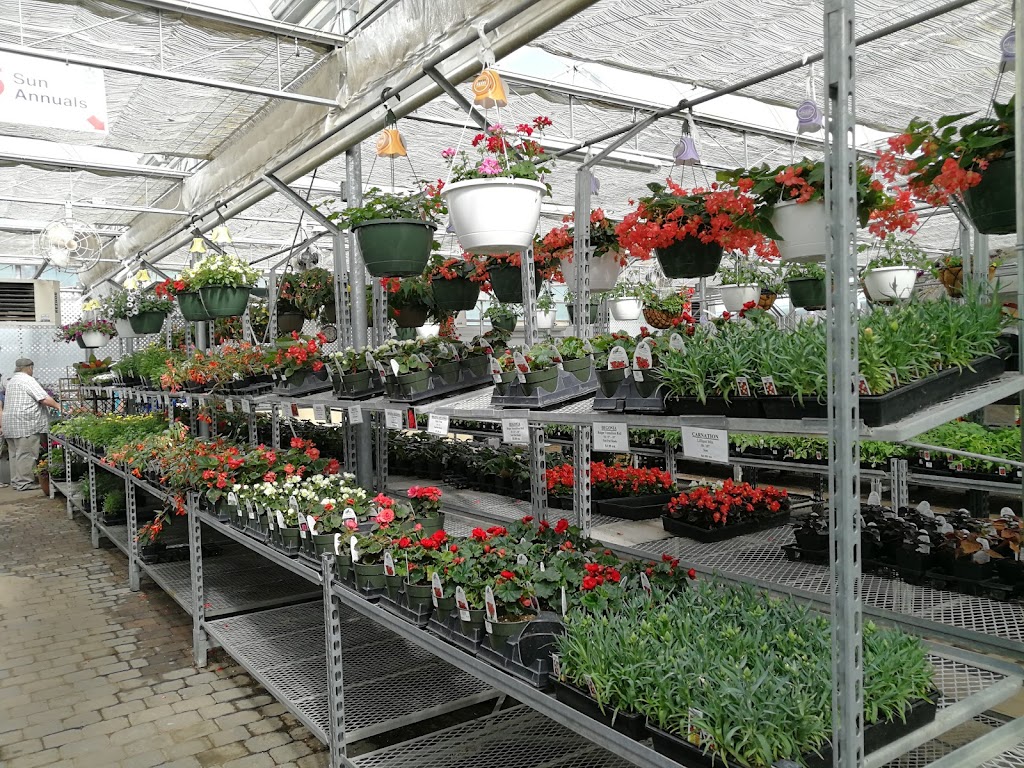 Green Haven Garden Centre | 5 South, Sunnyside Rd, Lethbridge, AB T1J 3Y3, Canada | Phone: (403) 327-6172