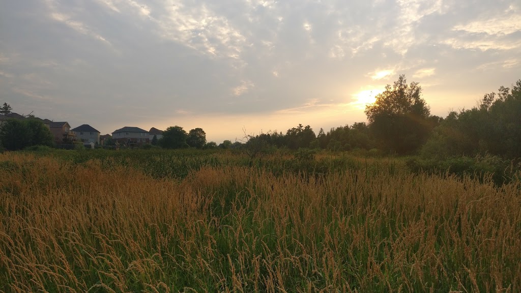 Doon Creek Natural Area | Kitchener, ON N2P 2V8, Canada