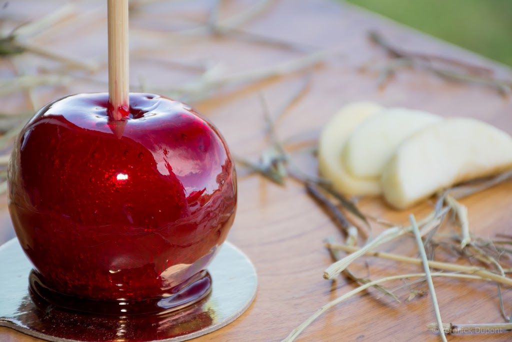 Vergers La Tête dans les Pommes / Pommalefun | 1673 Chem. Principal, Saint-Joseph-du-Lac, QC J0N 1M0, Canada | Phone: (450) 491-7319