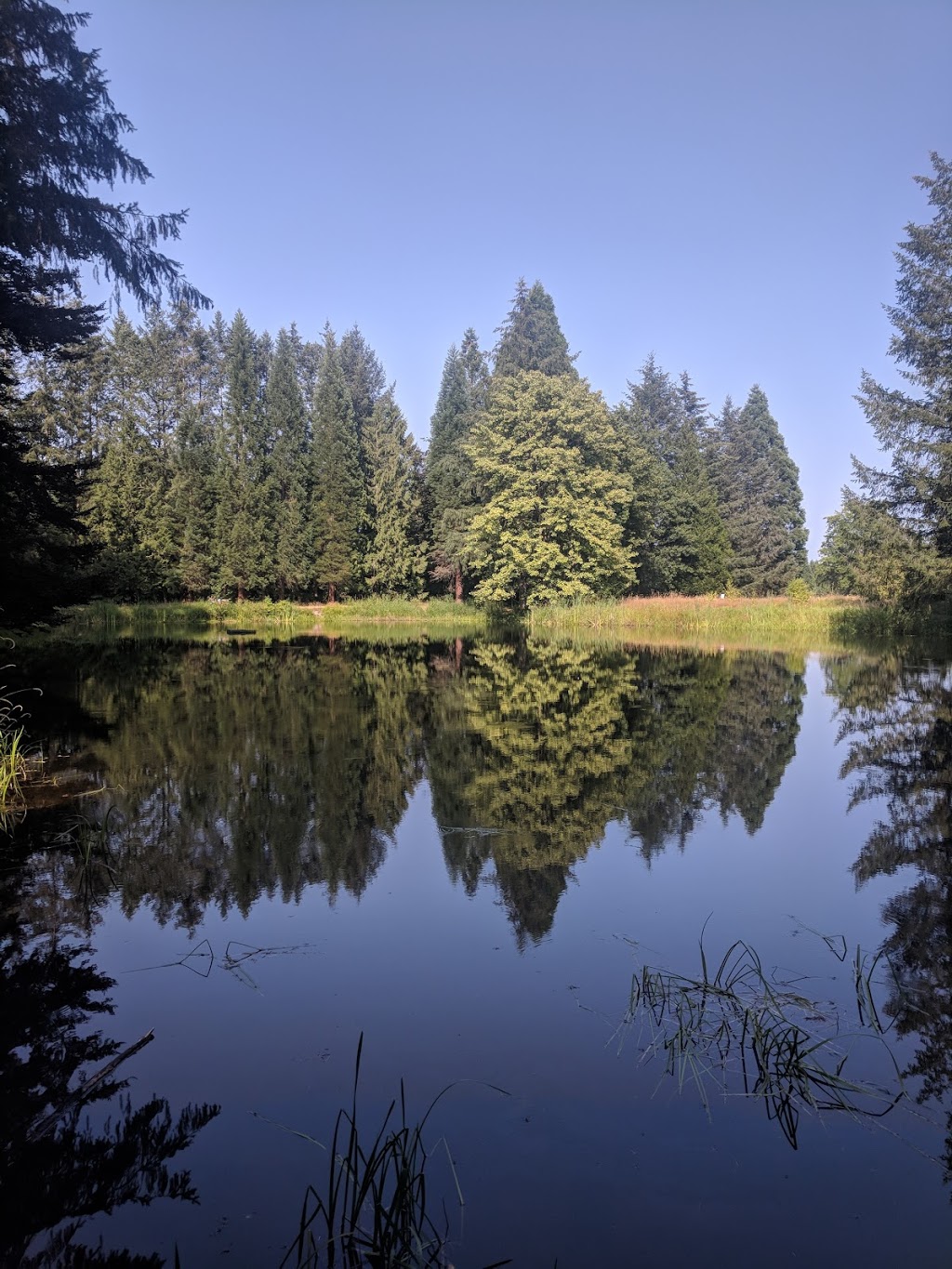 Godwin Farm Biodiversity Preserve | 9016 164 St, Surrey, BC V4N 2Z8, Canada | Phone: (604) 501-5050