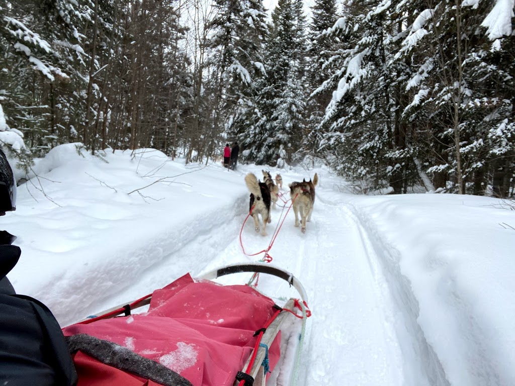 Mountain Adventure Dogsledding | 150 Chemin Val Mont, Val-des-Lacs, QC J0T 2P0, Canada | Phone: (819) 681-4853