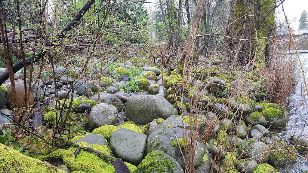 Maplewood Creek Park | North Vancouver, BC V7H 1E3, Canada