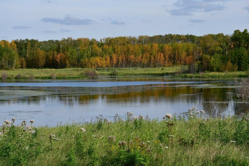 Bluebird RV Park | 20131, Township Rd 500, Camrose County, AB T0B 2M1, Canada | Phone: (780) 446-9842