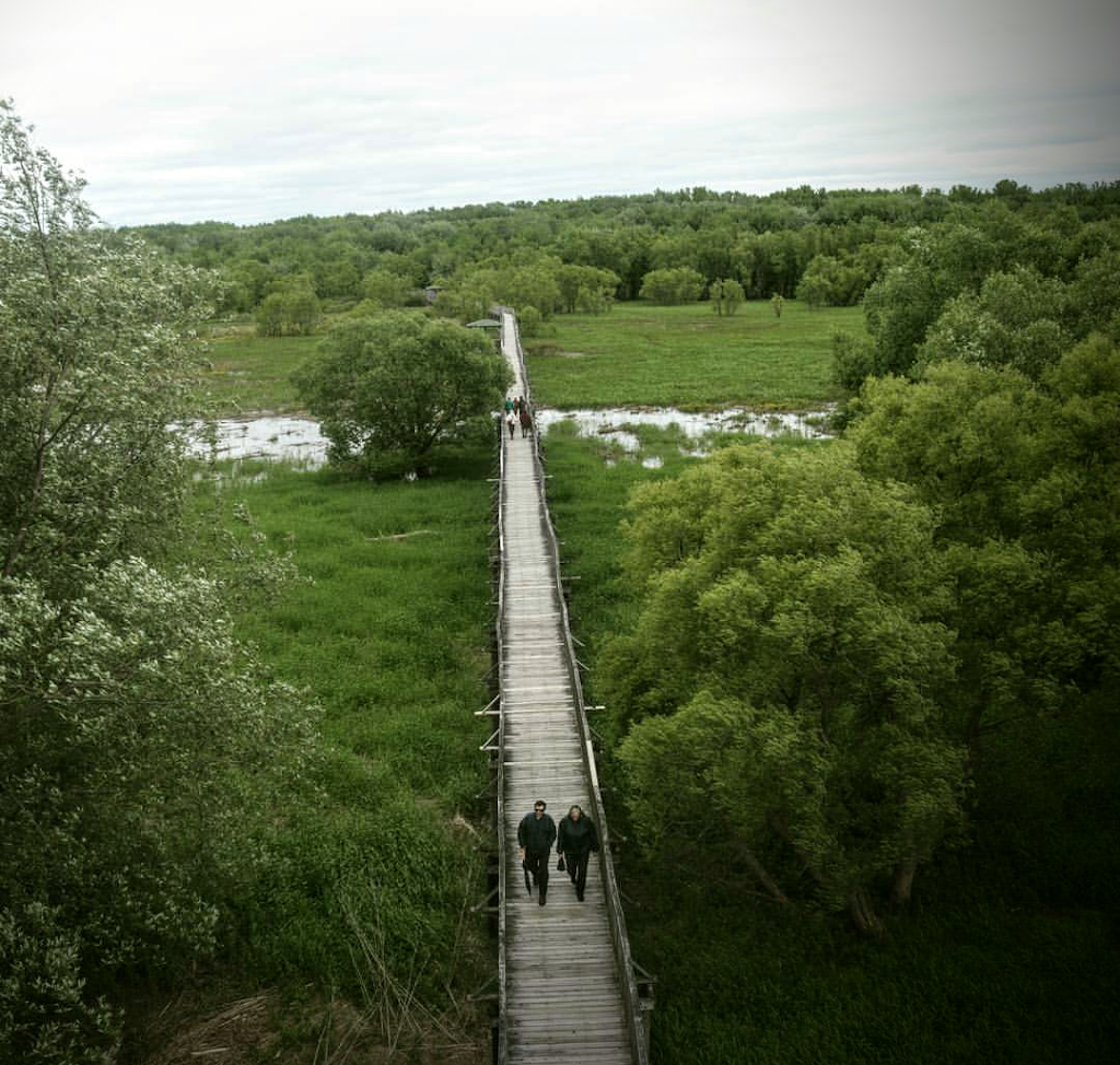 Nicolet Bird Sanctuary | Baie-du-Febvre, QC, Canada