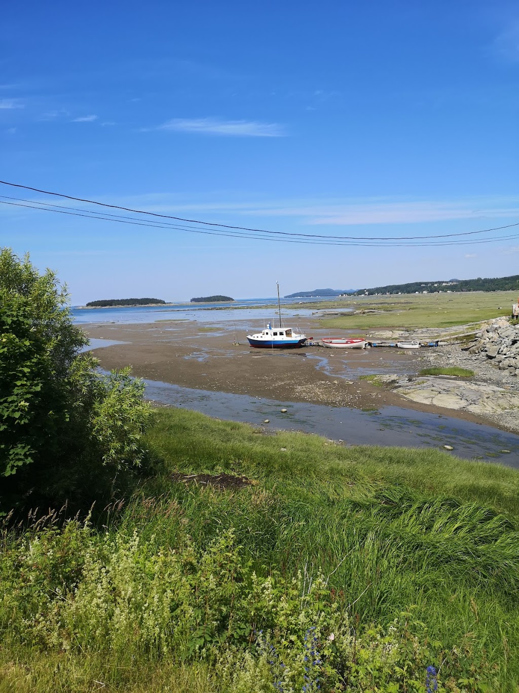 Co-Op de Kayak de mer des Iles | Kiosque mobile blanc au bout du quai éperon mobile blanc, Trois-Pistoles, QC G0L 4K0, Canada | Phone: (418) 851-4637