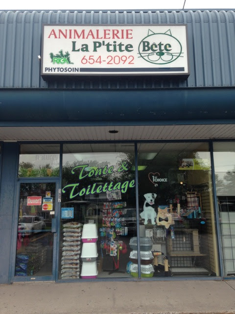 Animalerie La PTite Bête | Tonte & Toilettage | 579 Boulevard Lacombe, Repentigny, QC J5Z 4R7, Canada | Phone: (450) 654-2092