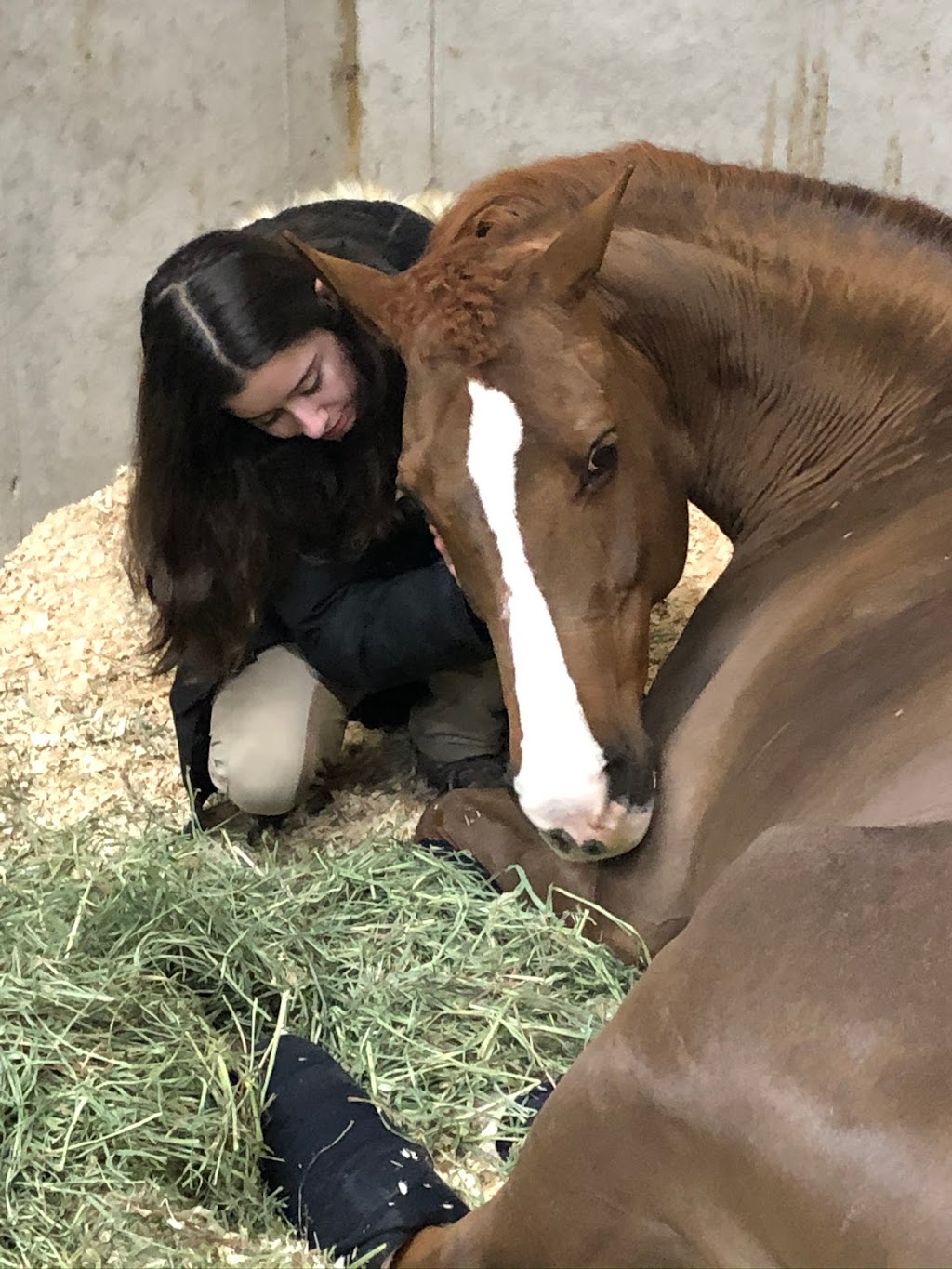 Wynbrook Equestrian Centre | 6222 Dunning Rd, Vars, ON K0A 3H0, Canada | Phone: (613) 371-5293