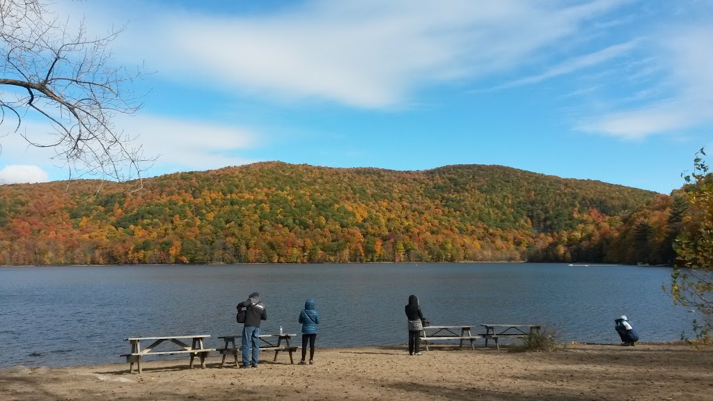 Refuge doiseaux de Mont-Saint-Hilaire | Gault Nature Reserve, 422 Chemin des Moulins, Mont-Saint-Hilaire, QC J3G 4S6, Canada | Phone: (450) 467-4010