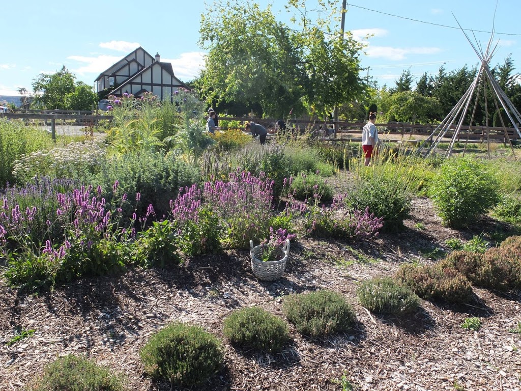 Fireweed Farm & School / Ravensong Seeds | 7159 Wallace Dr, Brentwood Bay, BC V8M 1G9, Canada | Phone: (250) 652-2655