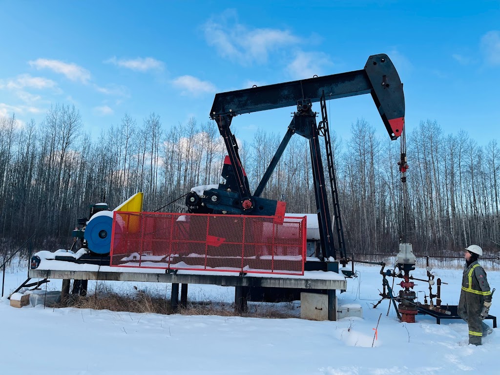 WIZE Oilfield Services | 42 Legacy Grove SE, Calgary, AB T2X 2E3, Canada | Phone: (780) 518-9493