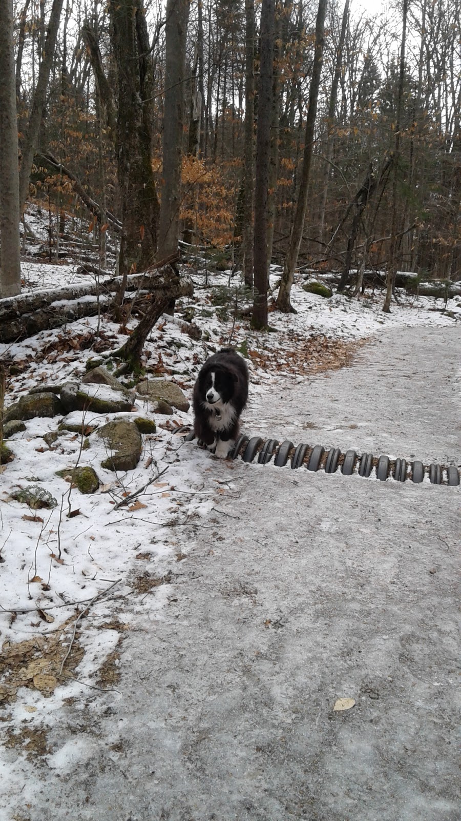 Park Mont Wright | 18 Chemin de lEscalade, Stoneham-et-Tewkesbury, QC G3C 0R2 Chemin de lEscalade, Stoneham-et-Tewkesbury, QC G3C 0R2, Canada