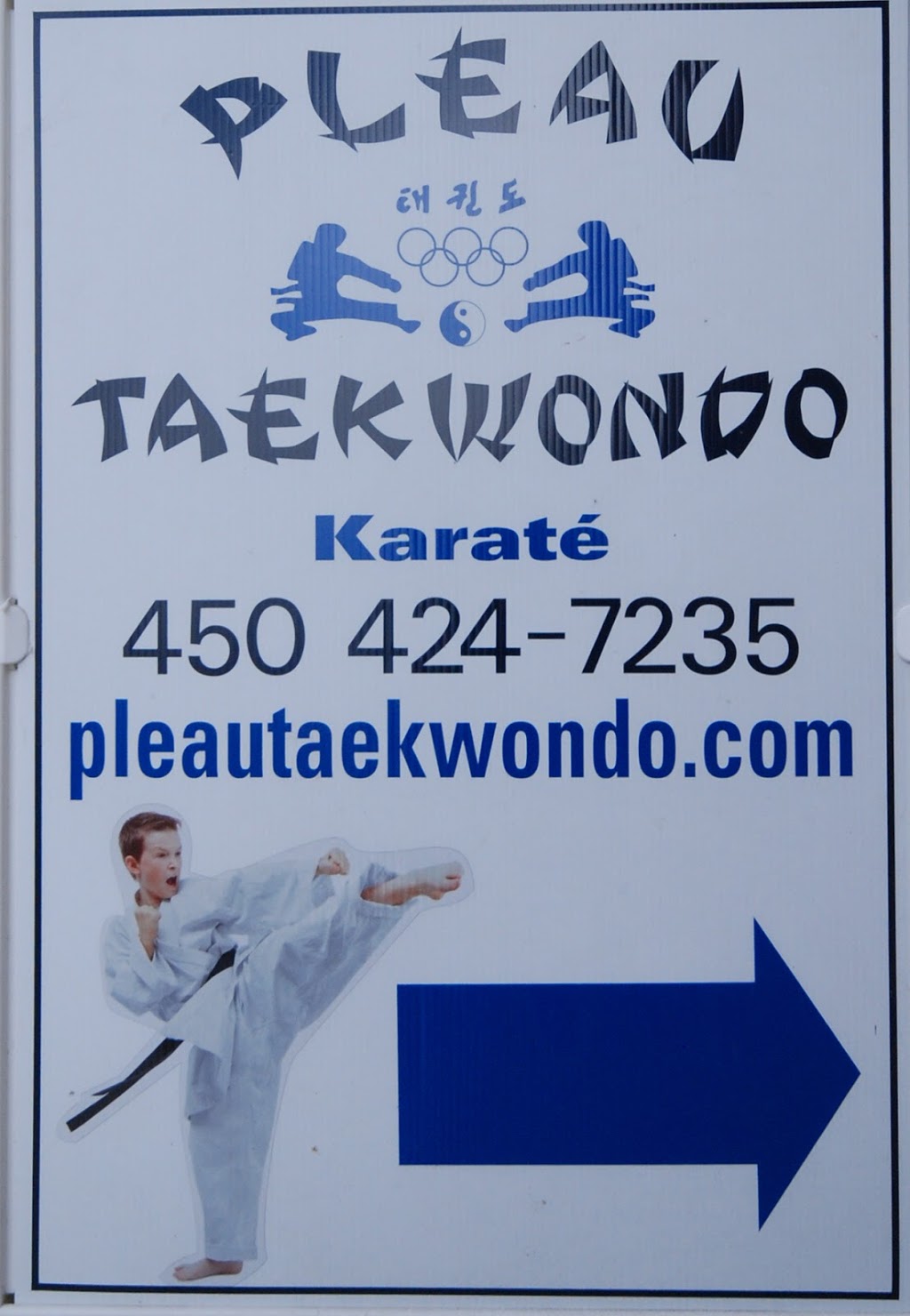 Ecole Taekwondo Pierre Pleau Enr | 401 Boulevard Harwood, Vaudreuil-Dorion, QC J7V 7W1, Canada | Phone: (450) 424-7235