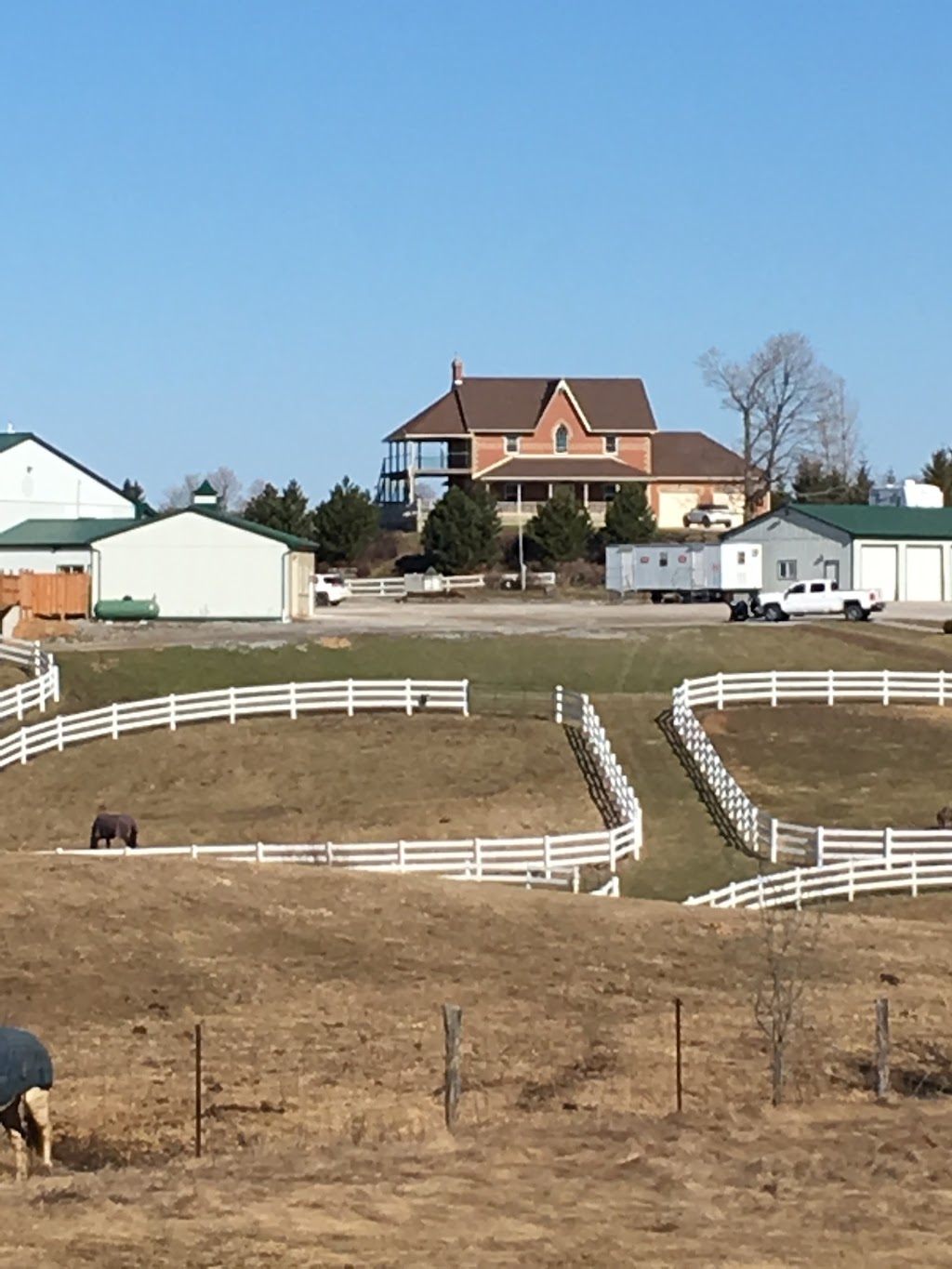 King of Hearts Stables | 1652 Brock Rd, Uxbridge, ON L9P 1R4, Canada | Phone: (905) 649-3136