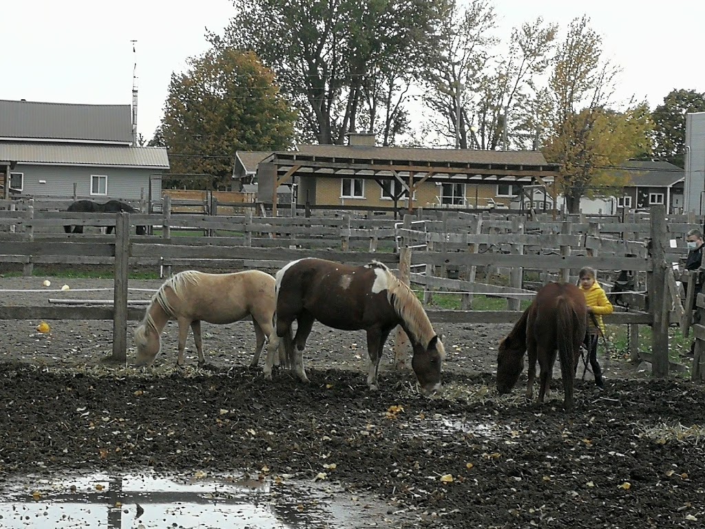 Farm Fantasia | 224 Chemin des Patriotes E, Saint-Jean-sur-Richelieu, QC J2X 4J3, Canada | Phone: (450) 358-5919