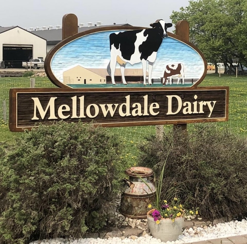 Mellowdale Dairy | AB-769, Bloomsbury, AB T0G 0G0, Canada | Phone: (780) 674-6293