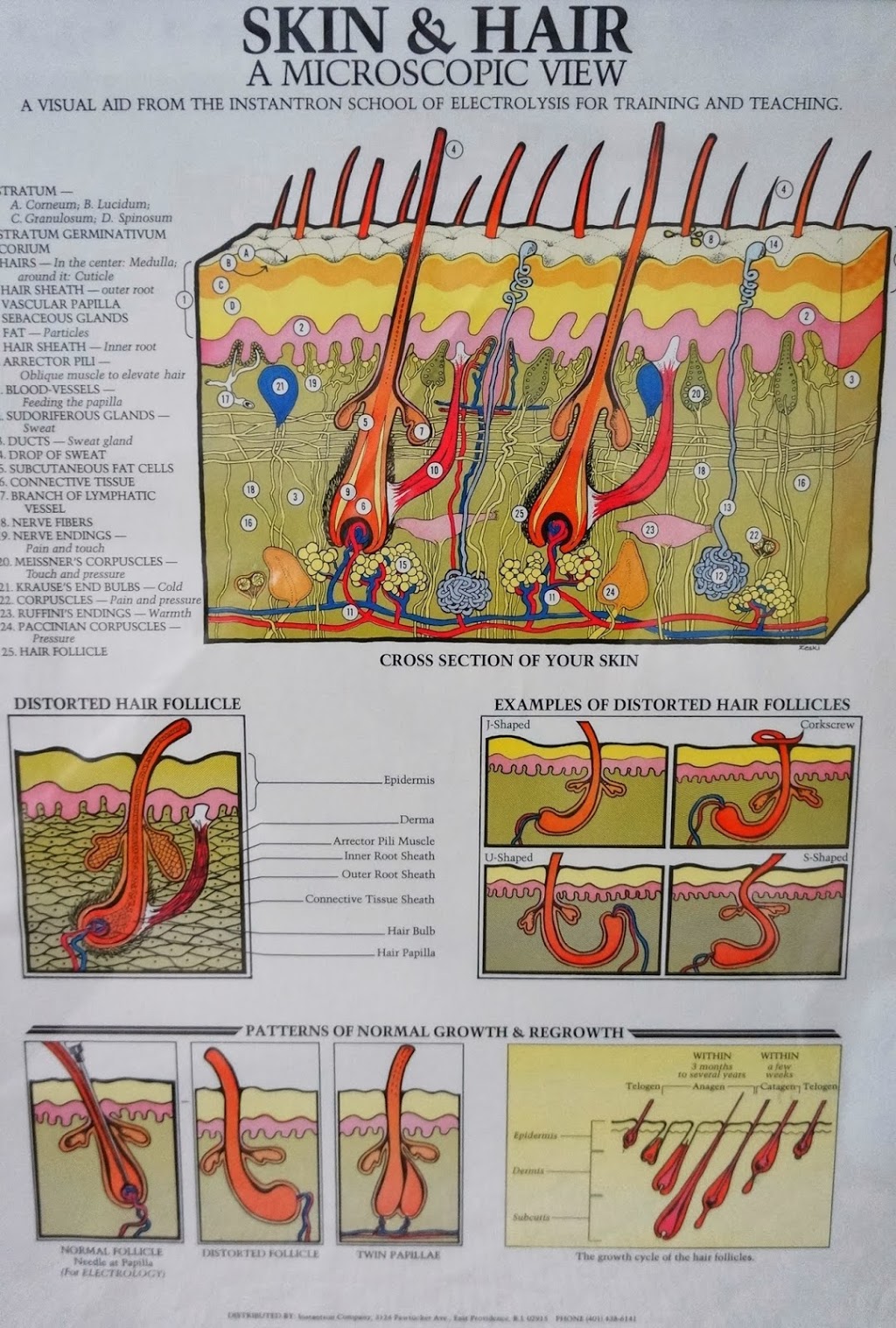 Precision Electrolysis by Cheryl | 5 Versailles Ct, Richmond Hill, ON L4C 8V4, Canada | Phone: (905) 737-6958