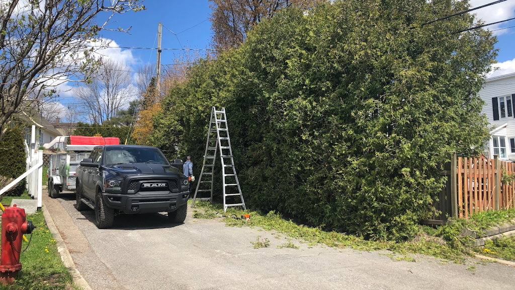 L’haie Entretien | 6823 Rue des Sommeliers, Québec, QC G3E 1A2, Canada | Phone: (581) 745-6067