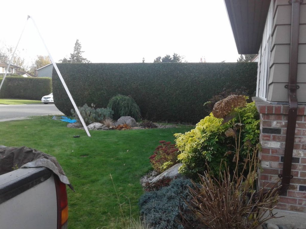 Hedge PRO Trimming Vancouver | 8619 Cartier St#301, Vancouver, BC V6P 4T9, Canada | Phone: (604) 417-4211