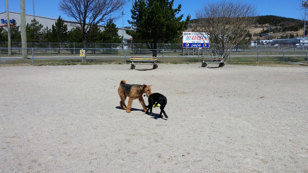 Quidi Vidi Lake Dog Park | 200-202 The Blvd, St. Johns, NL A1A 1N7, Canada