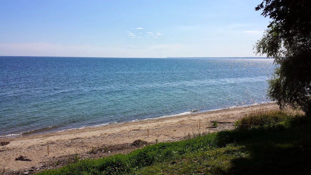 Rustys Beach House | 6 Snider Crescent, Port Dover, ON N0A 1N3, Canada | Phone: (416) 670-2853