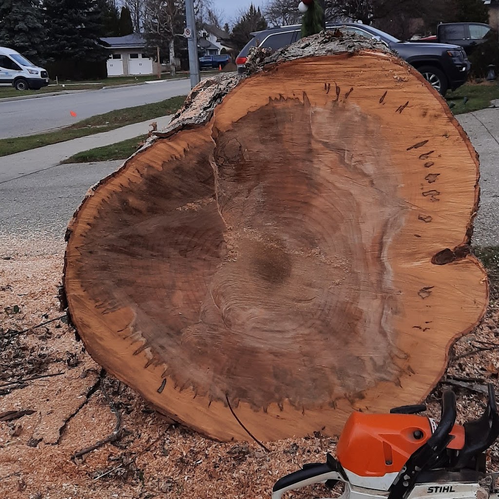 Lakeshore Tree Service | 191 Scotts Point Rd, Tiverton, ON N0G 2T0, Canada | Phone: (519) 368-7893