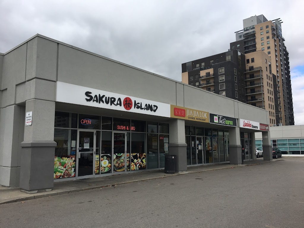 Sakura Island Japanese | 255 King St N, Waterloo, ON N2J 4V2, Canada | Phone: (519) 886-1812