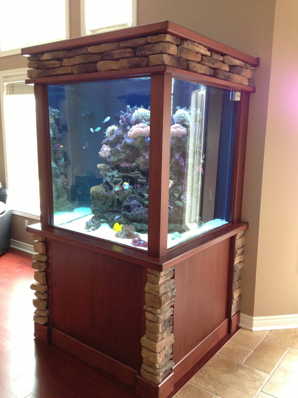 LT Aquariums | 850 Tapscott Rd Unit #8, Scarborough, ON M1X 1N4, Canada | Phone: (647) 829-8245