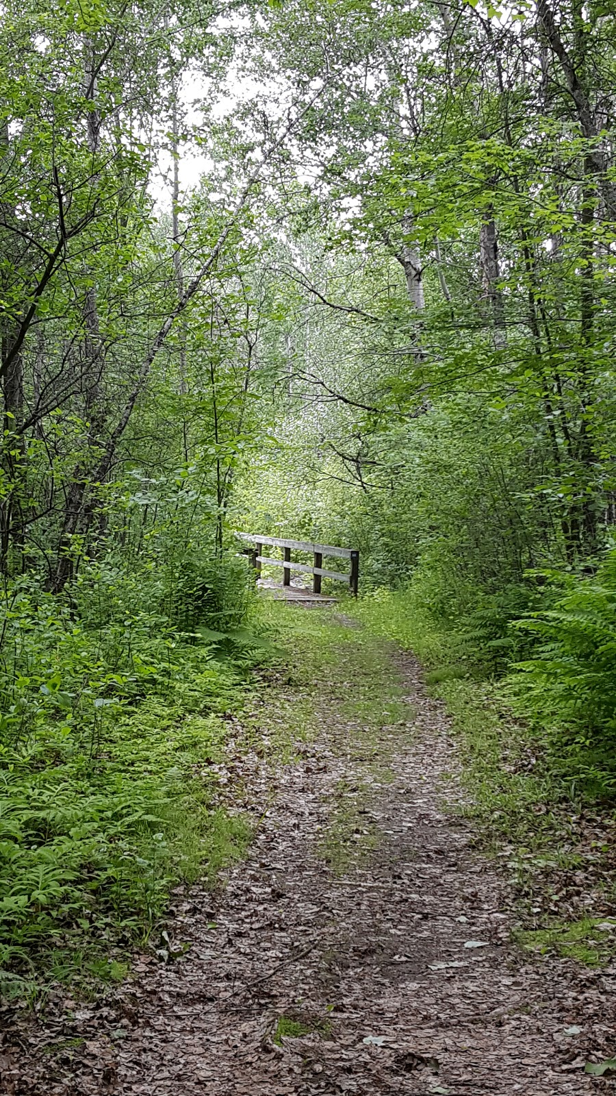 Dewberry Trail | Dolman Ridge Rd, Orléans, ON K1C 7G4, Canada