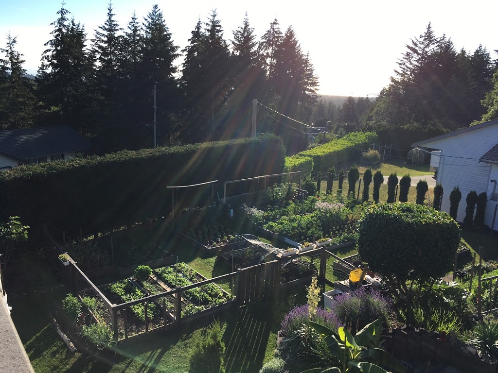 Early Girl Urban Farm | 2389 Ashlee Rd, Nanaimo, BC V9R 6T2, Canada | Phone: (250) 714-1571