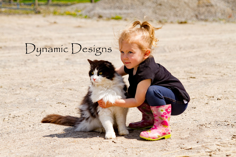 Dynamic Designs | 134 Lindsay St S, Lindsay, ON K9V 2M7, Canada | Phone: (647) 227-0173