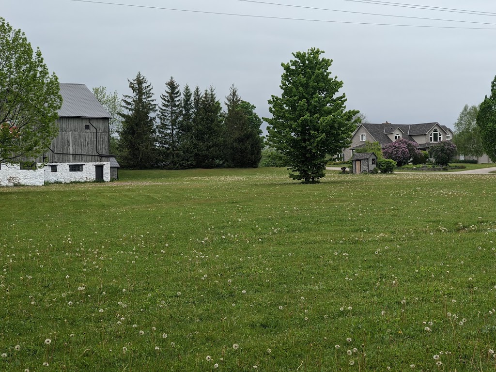 Regal Point Elk Farm | 462081, Concession Rd 24, Georgian Bluffs, ON N0H 2T0, Canada | Phone: (519) 373-7574