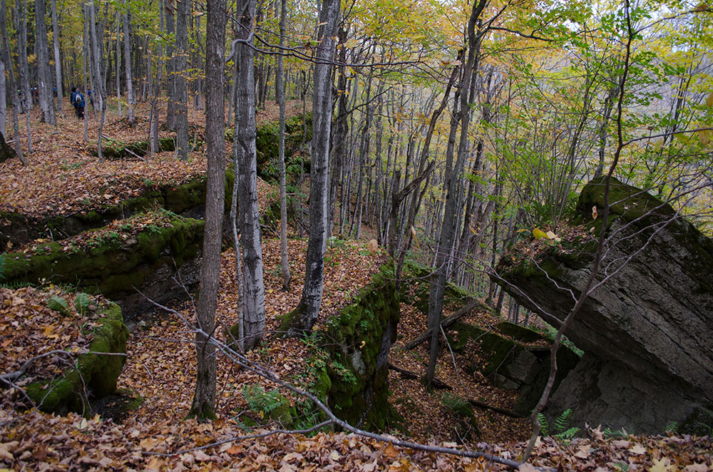 Malcolm Bluff Shores Nature Reserve | Wrights Crescent, South Bruce Peninsula, ON N0H 2T0, Canada | Phone: (800) 440-2366