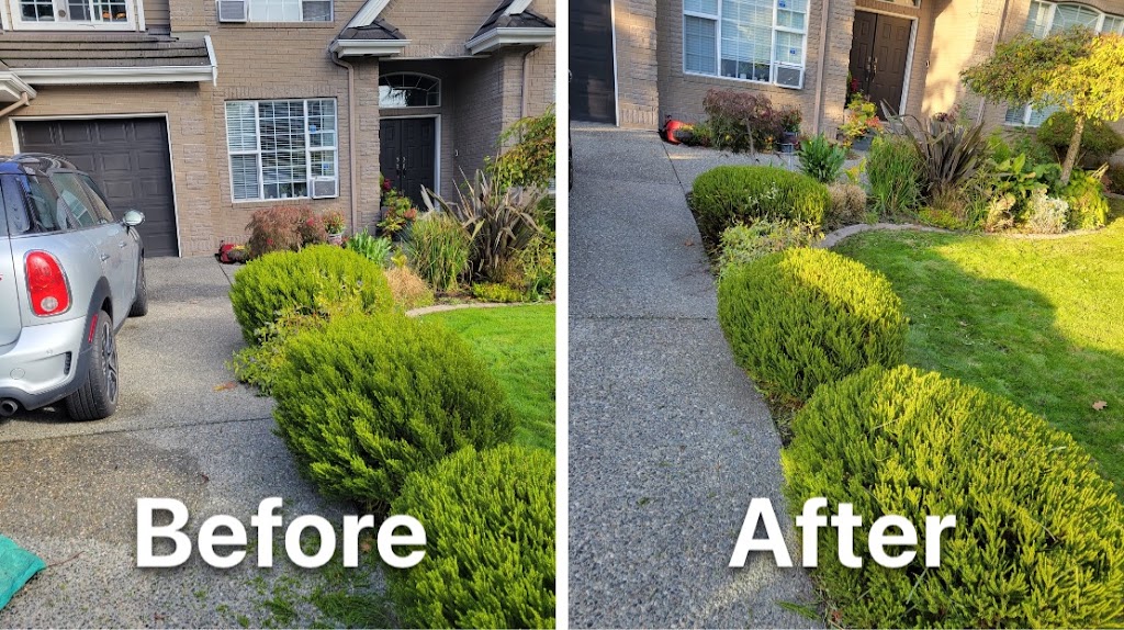 NZ Landscaping | 14854 95a Ave, Surrey, BC V3R 8A8, Canada | Phone: (778) 751-5270