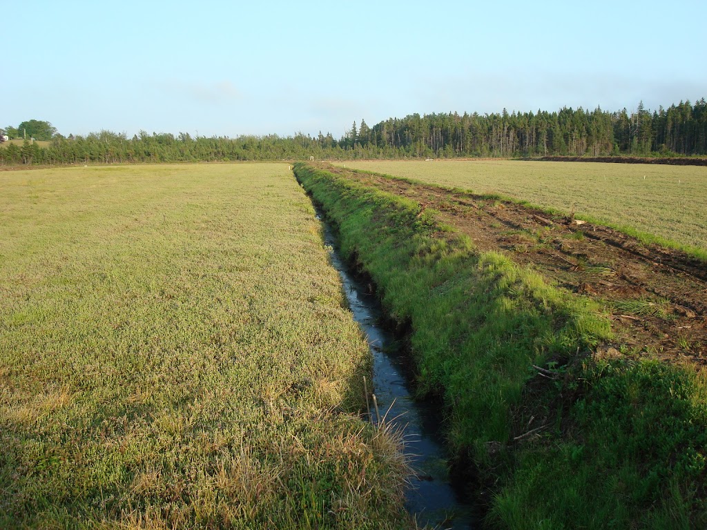 Terra Beata Farms | 161 Monk Point Rd, Lunenburg, NS B0J 2C0, Canada | Phone: (902) 634-4435