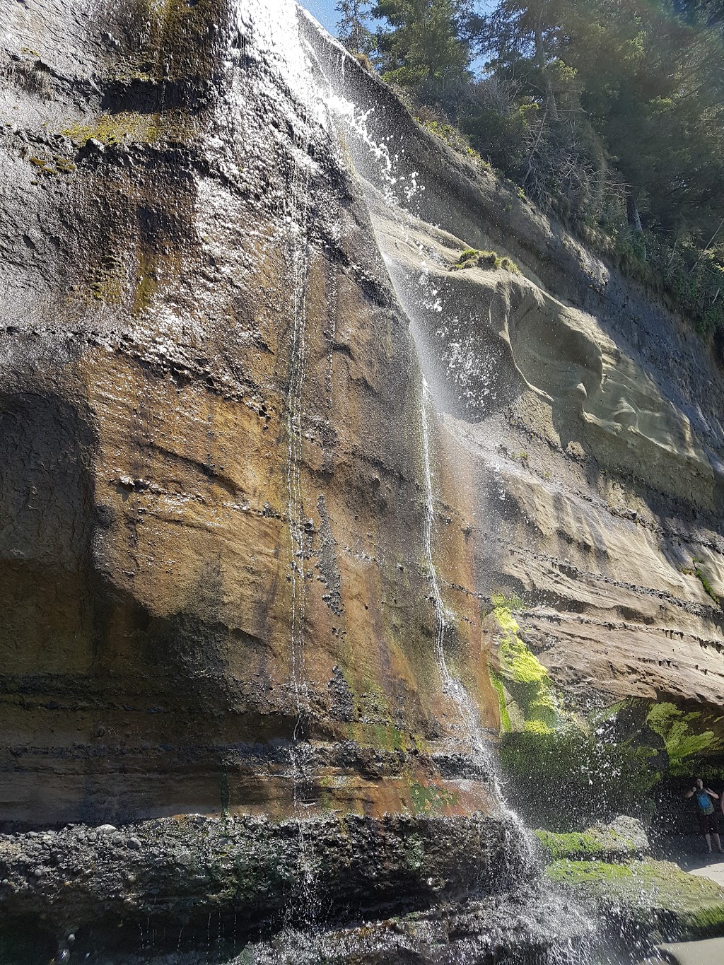 Juan de Fuca Trail Trailhead (Southeast / China Beach Terminus) | BC-14, Juan de Fuca, BC V0S, Canada