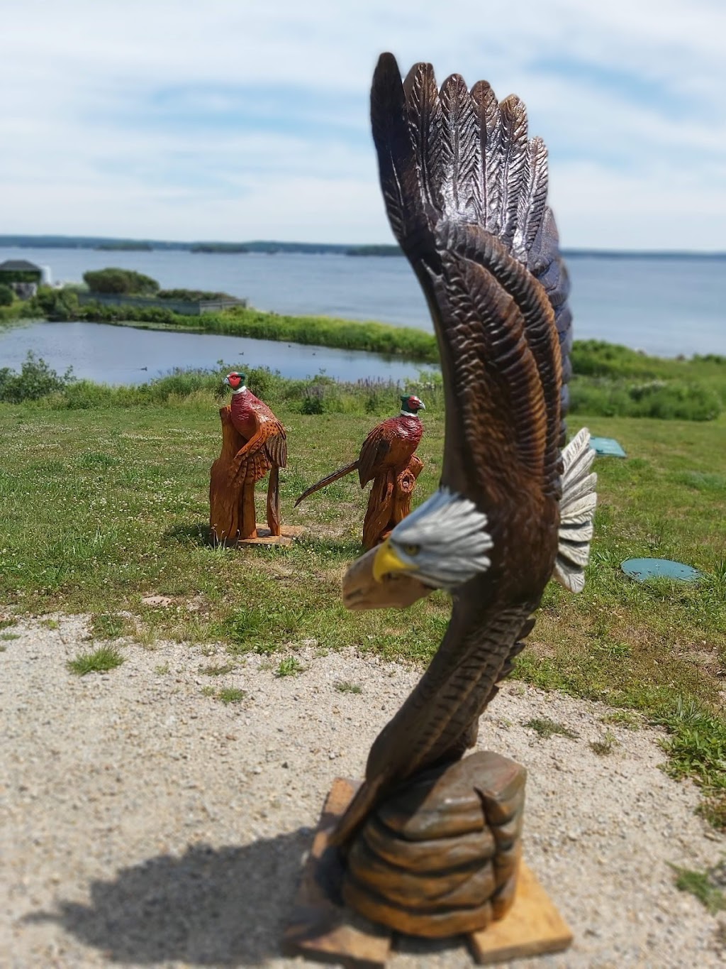 DaVinci In Wood, chainsaw carvings | Sonnys Rd, Upper Tantallon, NS B3Z 4R4, Canada | Phone: (902) 717-3935