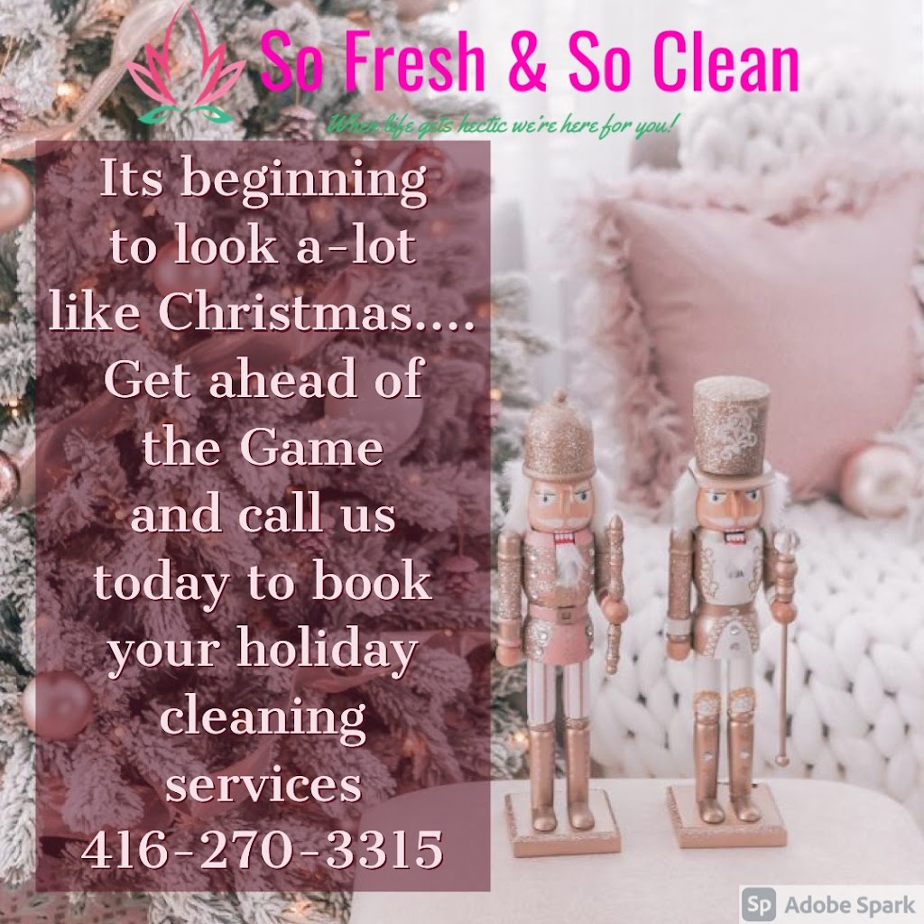 So Fresh & So clean | 1713 Mattawa Ave, Mississauga, ON L4X 1K5, Canada | Phone: (416) 270-3315