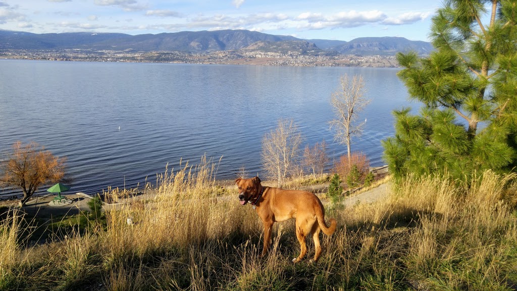 Cedar Creek Park | 5167 Lakeshore Rd, Kelowna, BC V1W 4J2, Canada